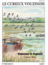 Aquarelle de vanneaux dans la vallée de l'Aisne (Isabelle Quentin-Julhès)